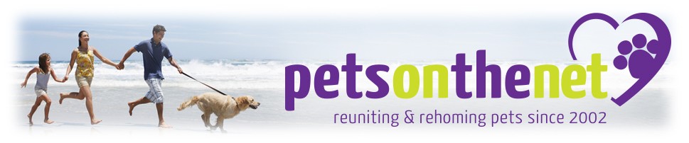 Pets on the Net
